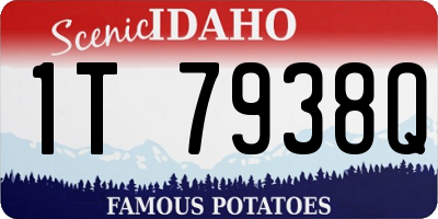 ID license plate 1T7938Q