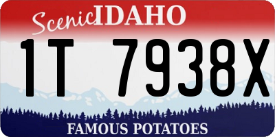 ID license plate 1T7938X