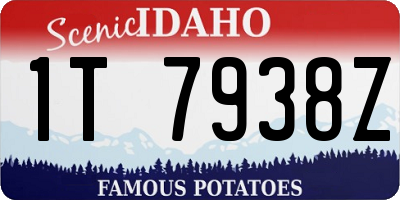 ID license plate 1T7938Z