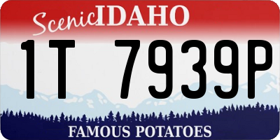 ID license plate 1T7939P