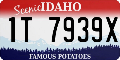 ID license plate 1T7939X