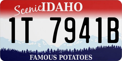 ID license plate 1T7941B