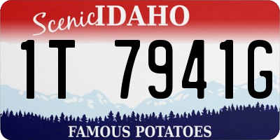 ID license plate 1T7941G