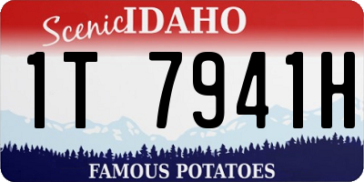 ID license plate 1T7941H