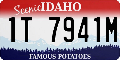 ID license plate 1T7941M