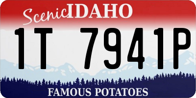 ID license plate 1T7941P