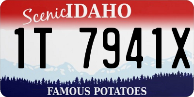 ID license plate 1T7941X