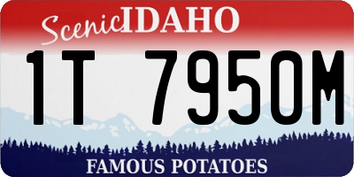 ID license plate 1T7950M