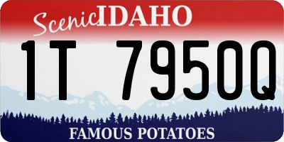 ID license plate 1T7950Q