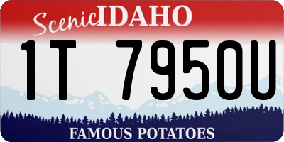 ID license plate 1T7950U