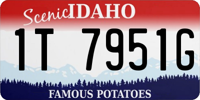 ID license plate 1T7951G