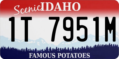 ID license plate 1T7951M