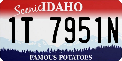 ID license plate 1T7951N
