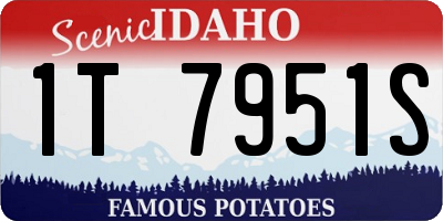 ID license plate 1T7951S