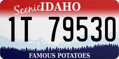 ID license plate 1T7953O