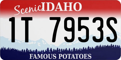 ID license plate 1T7953S