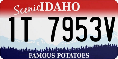 ID license plate 1T7953V