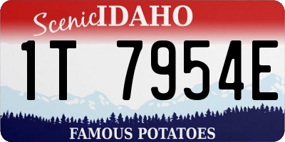 ID license plate 1T7954E