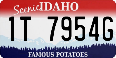 ID license plate 1T7954G