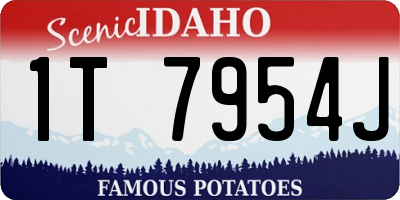 ID license plate 1T7954J
