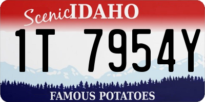 ID license plate 1T7954Y