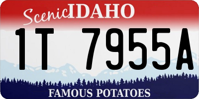 ID license plate 1T7955A