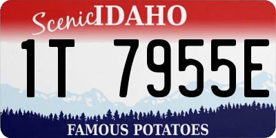 ID license plate 1T7955E