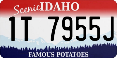 ID license plate 1T7955J