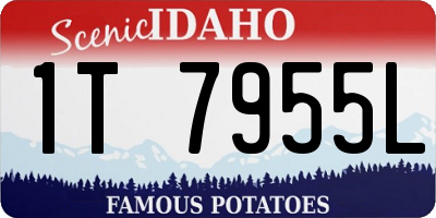 ID license plate 1T7955L