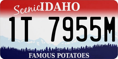 ID license plate 1T7955M