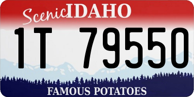 ID license plate 1T7955O