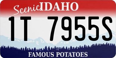ID license plate 1T7955S