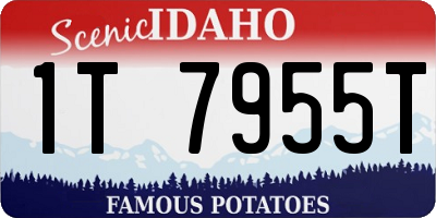 ID license plate 1T7955T