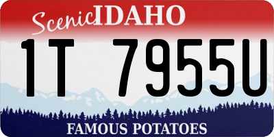 ID license plate 1T7955U