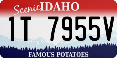 ID license plate 1T7955V