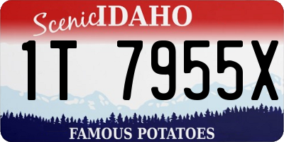 ID license plate 1T7955X