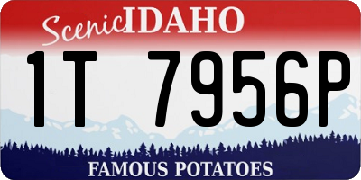 ID license plate 1T7956P