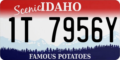 ID license plate 1T7956Y