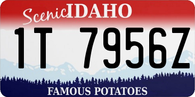 ID license plate 1T7956Z