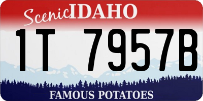 ID license plate 1T7957B