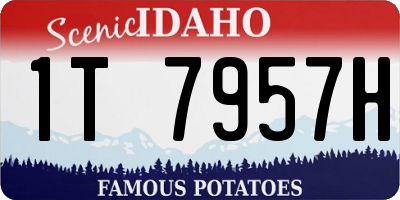 ID license plate 1T7957H