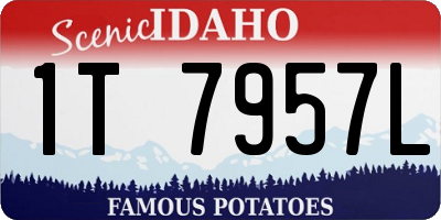 ID license plate 1T7957L