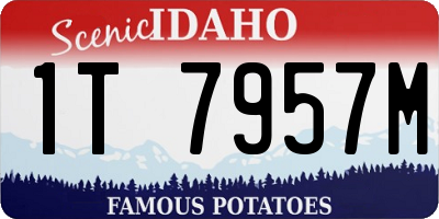 ID license plate 1T7957M