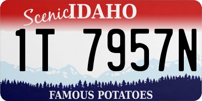 ID license plate 1T7957N