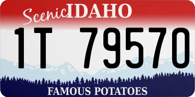 ID license plate 1T7957O