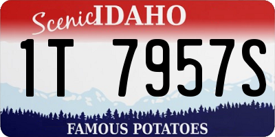 ID license plate 1T7957S