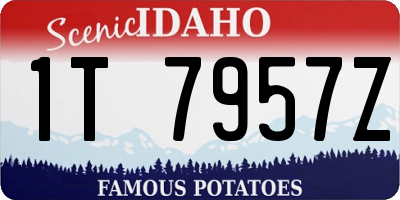 ID license plate 1T7957Z