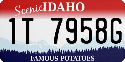 ID license plate 1T7958G