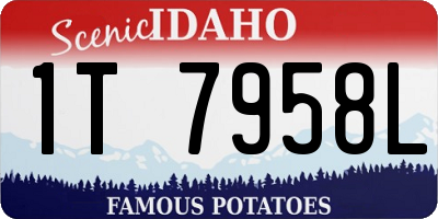 ID license plate 1T7958L