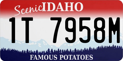 ID license plate 1T7958M